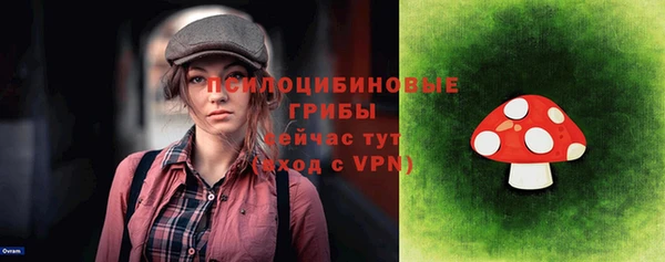 spice Россошь