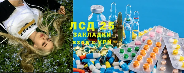 шишки Алзамай