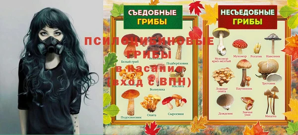 a pvp Алексин
